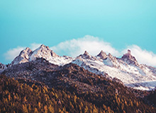 旺财28娱乐-西亚卡姆不满复赛表现 猛龙新核遭遇生涯分水岭